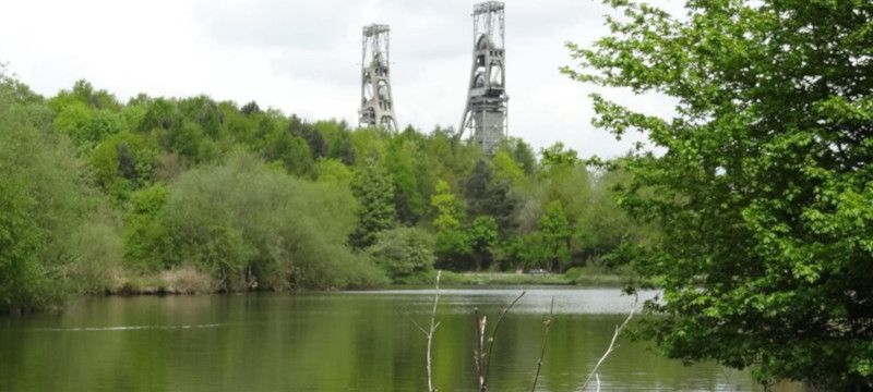 Photo of Vicar Water Country Park.